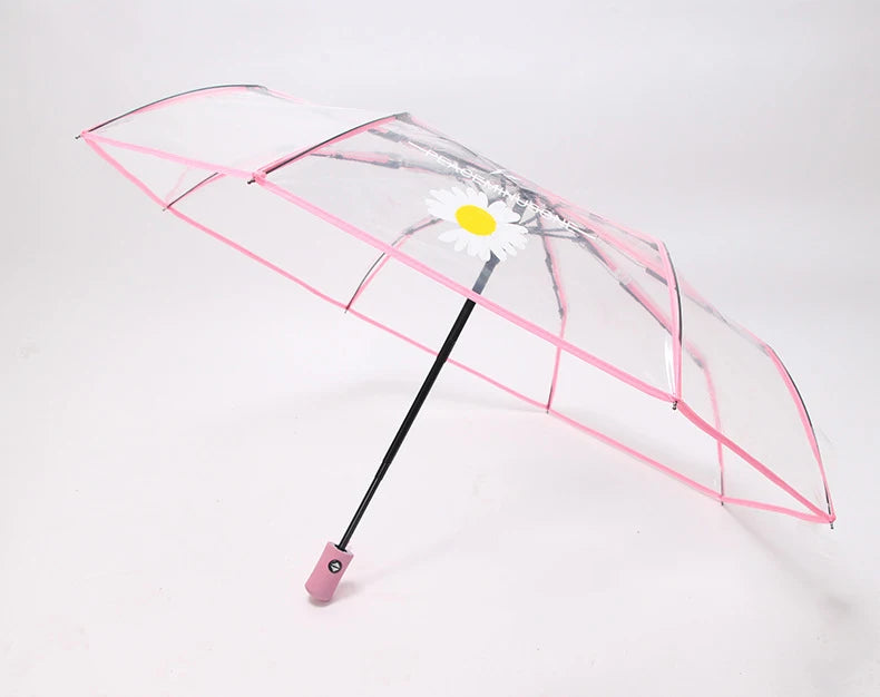 Daisy Transparent Umbrella Manual / Automatic